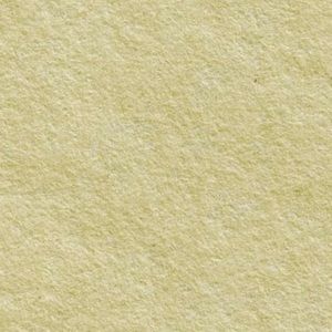 Meet your Posher, Will